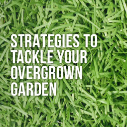 Strategies to Tackle Your Overgrown Garden
