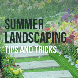 Summer Landscaping Tips and Tricks