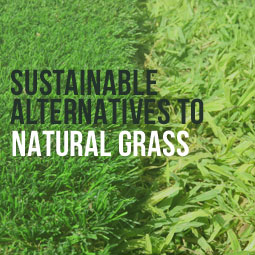 Sustainable Alternatives To Natural Grass