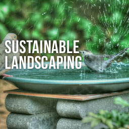 Sustainable-Landscaping-Blog