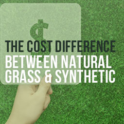 The Cost Difference Between Natural Grass And Synthetic http://www.heavenlygreens.com/blog/natural-grass-and-synthetic-grass-cost-difference @heavenlygreens