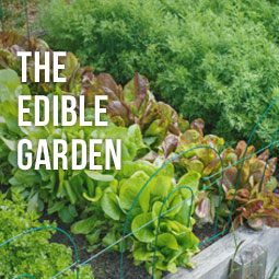 The Edible Garden http://www.heavenlygreens.com/the-edible-garden @heavenlygreens