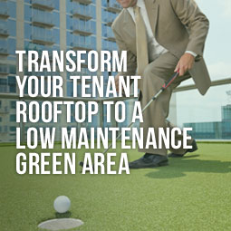 Transform Your Tenant Rooftop Into a Low Maintenance Green Area