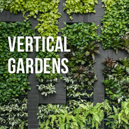 Vertical Gardens http://www.heavenlygreens.com/blog/vertical-gardens @heavenlygreens