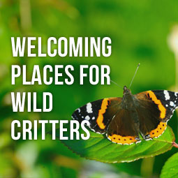 Welcoming Places For Wild Critters http://www.heavenlygreens.com/blog/welcoming-places-for-wild-critters @heavenlygreens