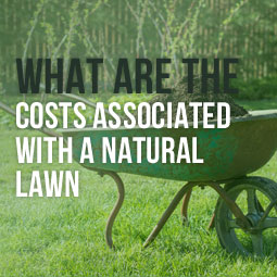 What Are The Costs Associated With A Natural Lawn