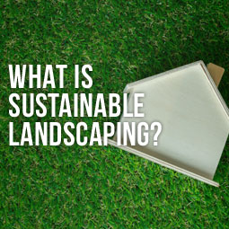 What Is Sustainable Landscaping?