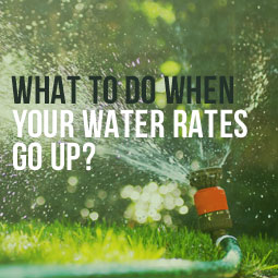 What-To-Do-Water-Rates-Go-Up-Blog.jpg