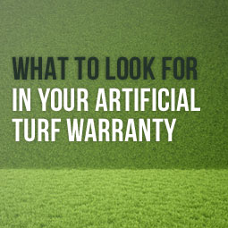 What To Look For In Your Artificial Turf Warranty