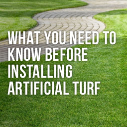 What You Need To Know Before Installing Artificial Turf http://www.heavenlygreens.com/blog/what-you-need-to-know-before-installing-artificial-turf @heavenlygreens