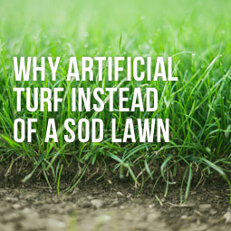 Why Artificial Turf Instead of a Sod Lawn