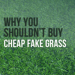 Why_you_Shouldnt_Buy_cheap_Fake_grass.jpg