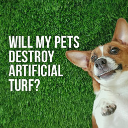 Will My Pets Destroy Artificial Turf?