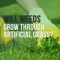 Will Weeds Grow Through Artificial Grass? http://www.heavenlygreens.com/blog/will-weeds-grow-through-artificial-grass @heavenlygreens