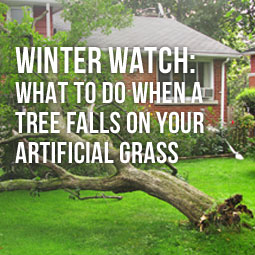 Winter Watch: What To Do When A Tree Falls On Your Artificial Grass http://www.heavenlygreens.com/blog/winter-watch-what-to-do-when-a-tree-falls-on-your-artificial-grass @heavenlygreens