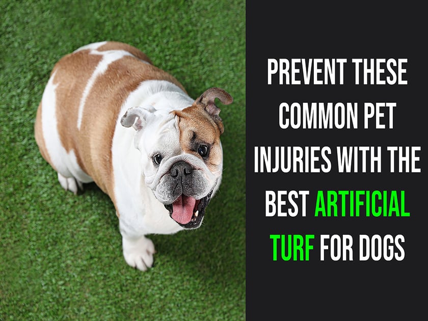 Reduce the Risk of Playtime Injuries with the Best Artificial Turf for Dogs