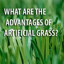 What are the Advantages of Artificial Grass?