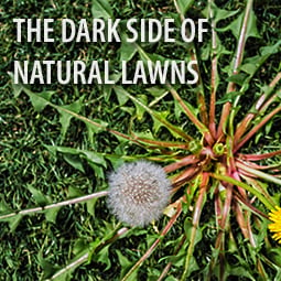 The Dark Side of Natural Lawns