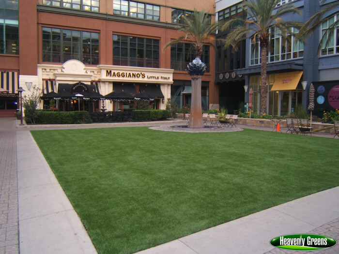synthetic turf installation in a common area