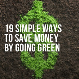 19-Simple-Ways-To-Save-Money-Going-Green-Blog.jpg