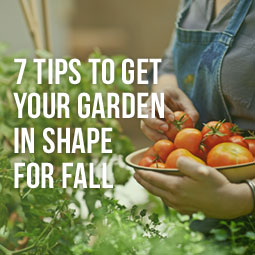 7-Tips-Garden-in-Shape-For-Fall-Blog.jpg