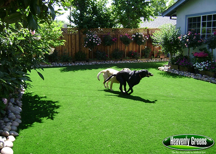 Artificial Grass For Dogs Gallery, Landscaping Ideas For Yards With Dogs