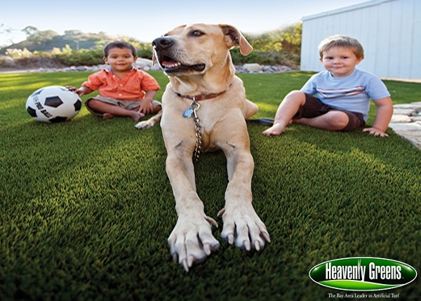 Fake grass for dogs