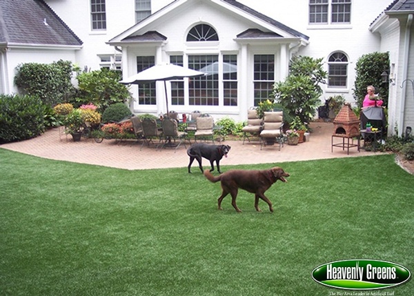 Fake grass for dogs