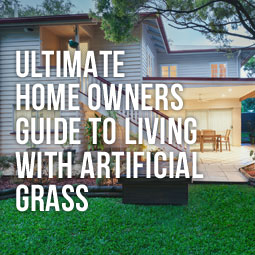 Ult-Homeowner-Guide-AG-Blog.jpg