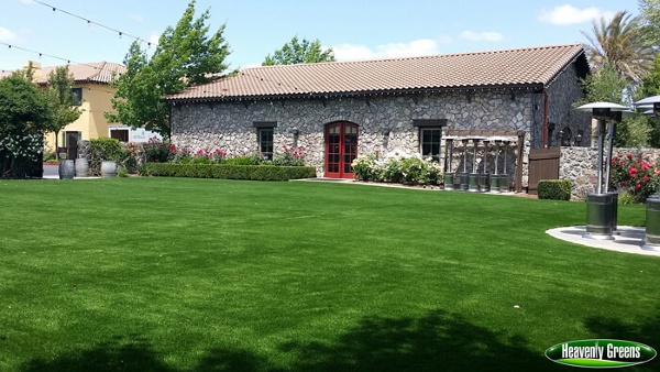 Common area with artificial turf