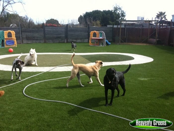 Fake Dog Grass in a Play area