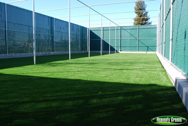artificial grass and dog parks/facilities