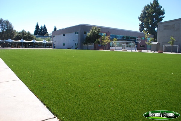 artificial turf soccer field