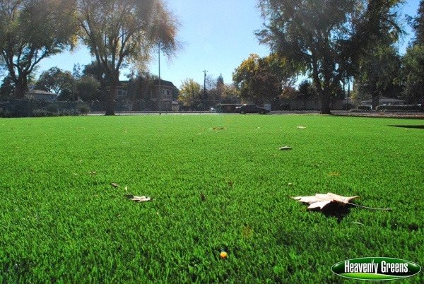 synthetic grass on school common area