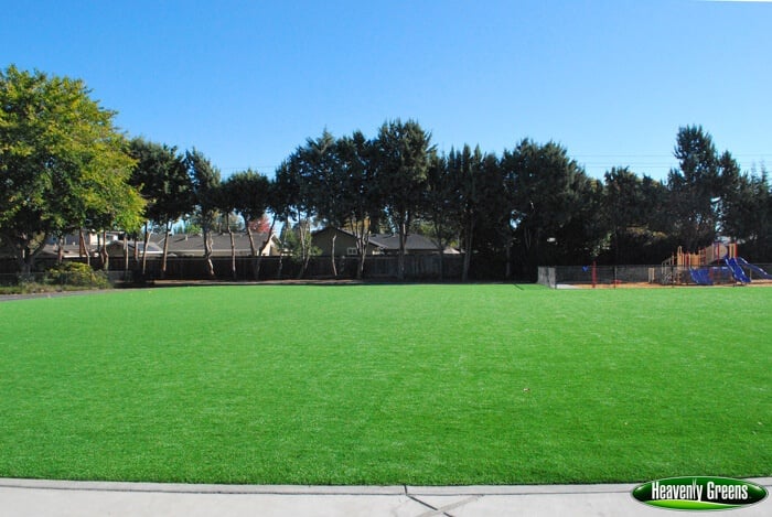 artificial turf on a school common area