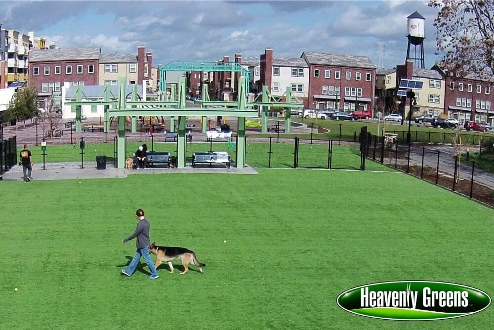 artificial turf for dogs