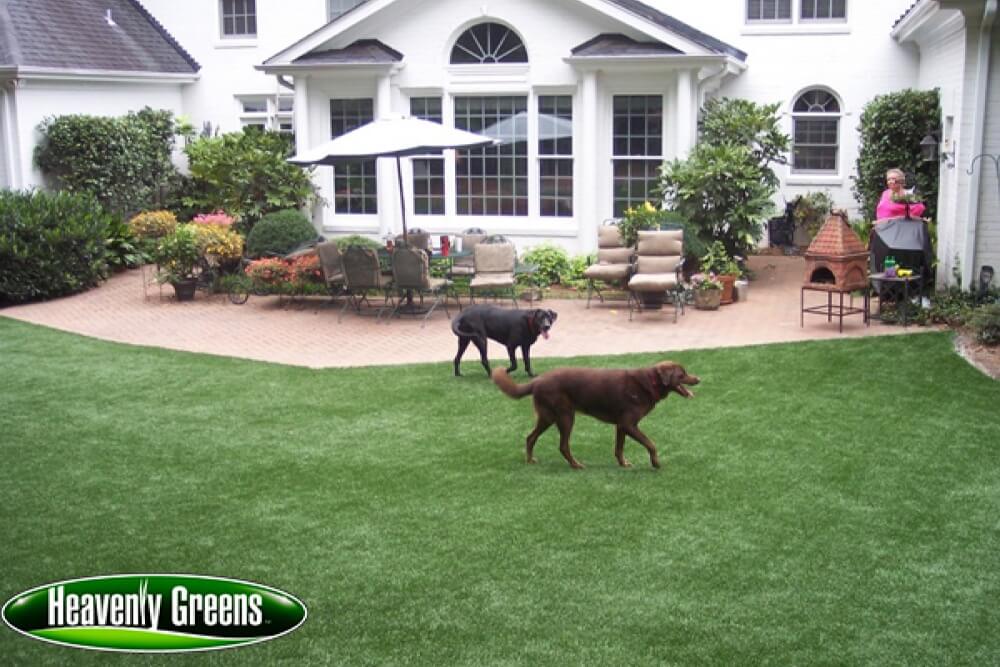 synthetic turf for pets