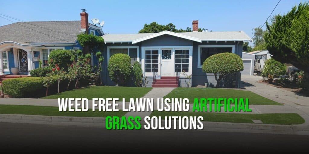Weed Free Lawn Using Artificial Grass Solutions