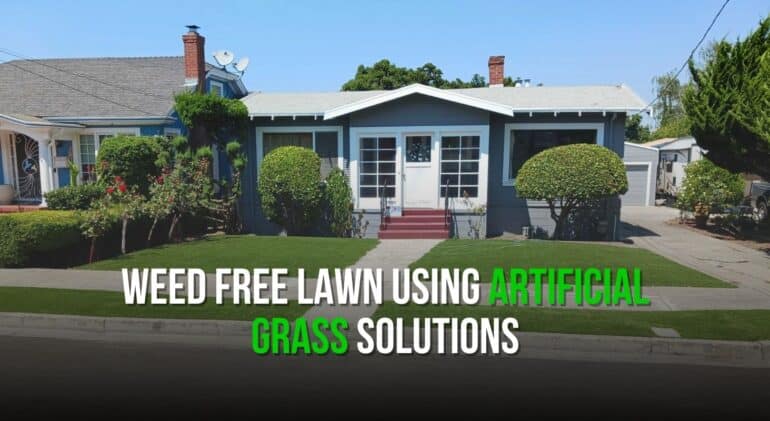 Weed Free Lawn Using Artificial Grass Solutions