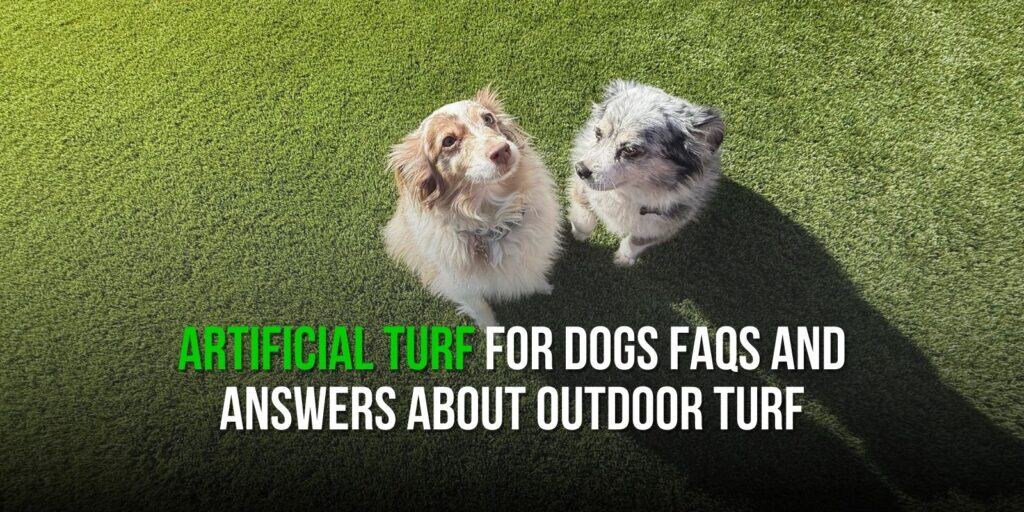 Artificial Turf for Dogs FAQs and Answers About Outdoor Turf
