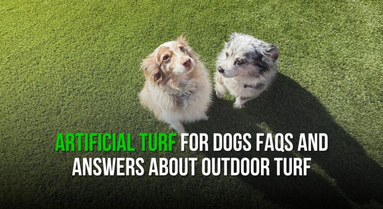 Artificial Turf for Dogs FAQs and Answers About Outdoor Turf
