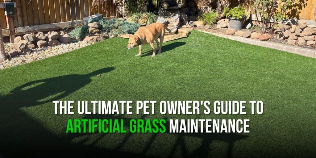 The Ultimate Pet Owner's Guide to Artificial Grass Maintenance