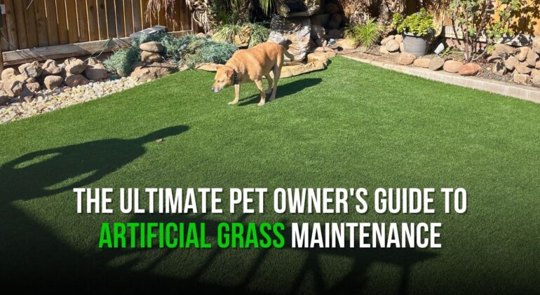 The Ultimate Pet Owner's Guide to Artificial Grass Maintenance