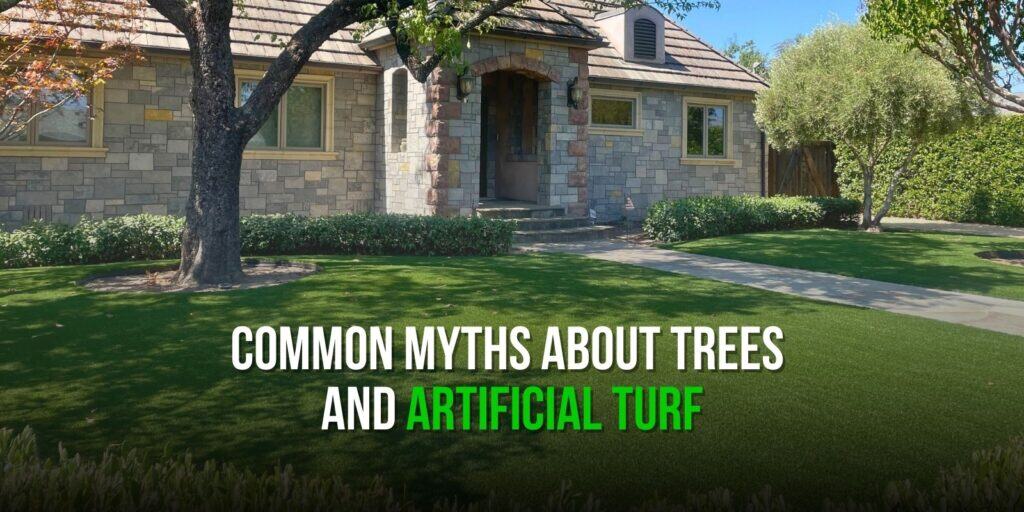 Common Myths About Trees and Artificial Turf