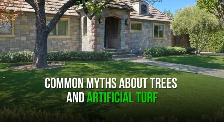 Common Myths About Trees and Artificial Turf