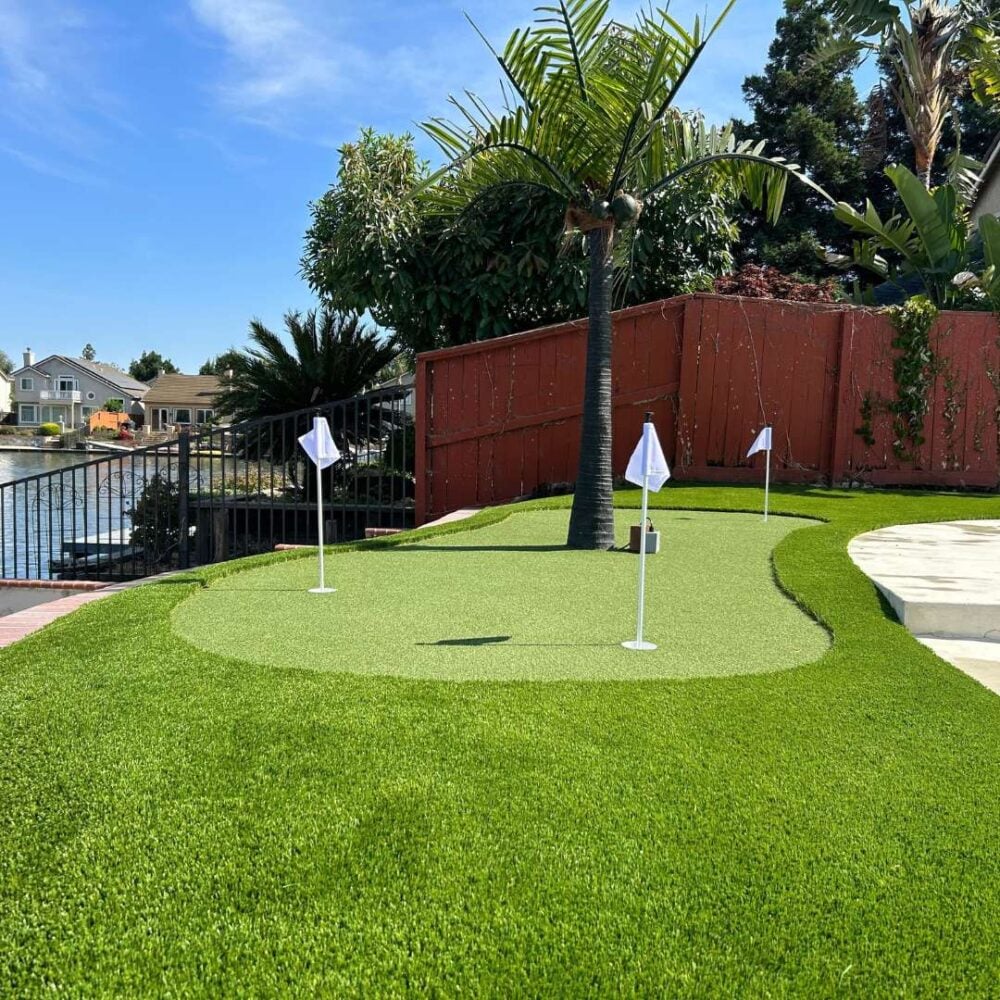 Backyard putting green with artificial turf, featuring a palm tree and white flags, showcasing a low-maintenance landscape ideal for leisure and outdoor activities.