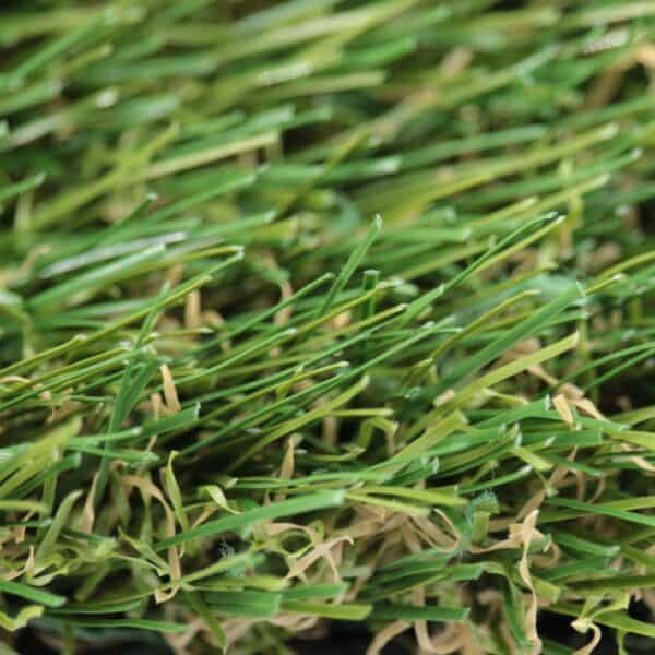Nutmeg Lush 2 Turf: Premium Quality | Heavenly Greens
