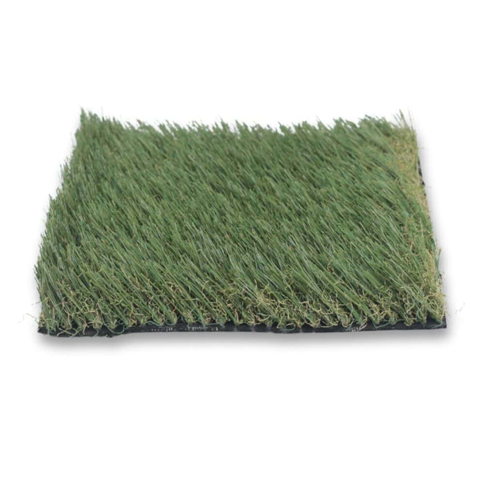 Nutmeg-Lush-II-Front-1024x1024.jpg